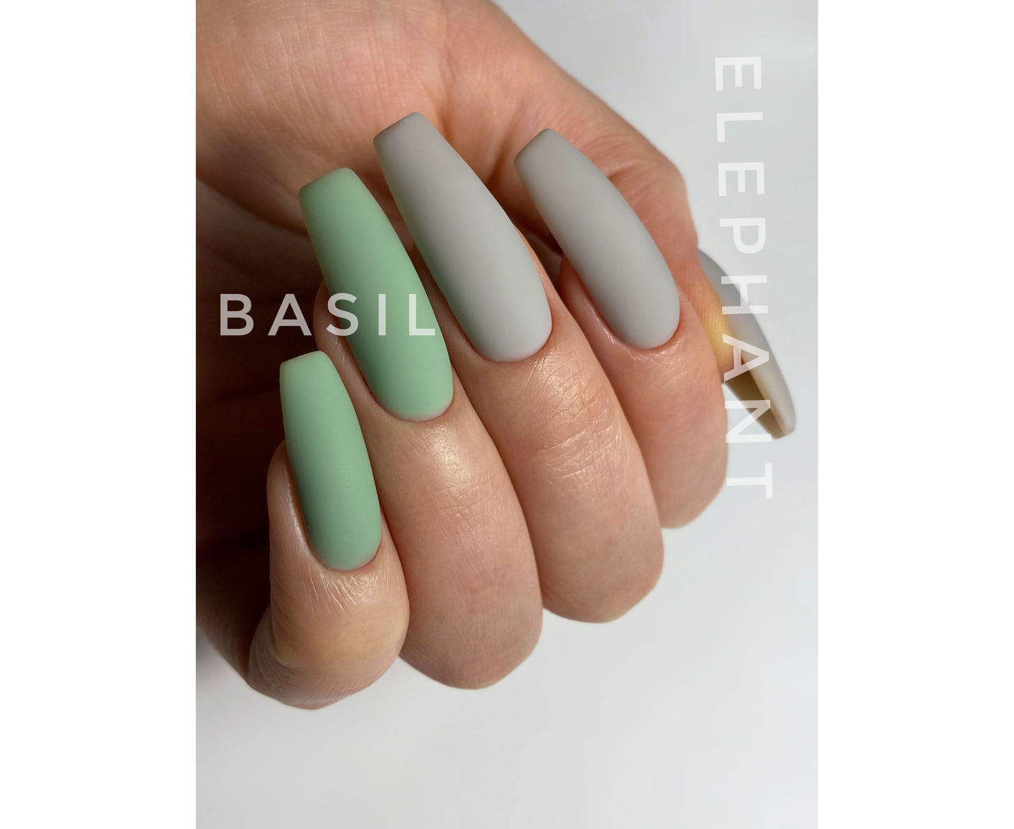 HELLO Tint Base, ELEPHANT – Light Grey Elastic Base, 15ml