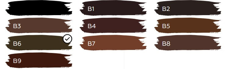 Pigment for permanent eyebrow makeup Tinel B6 Alder, 10ml