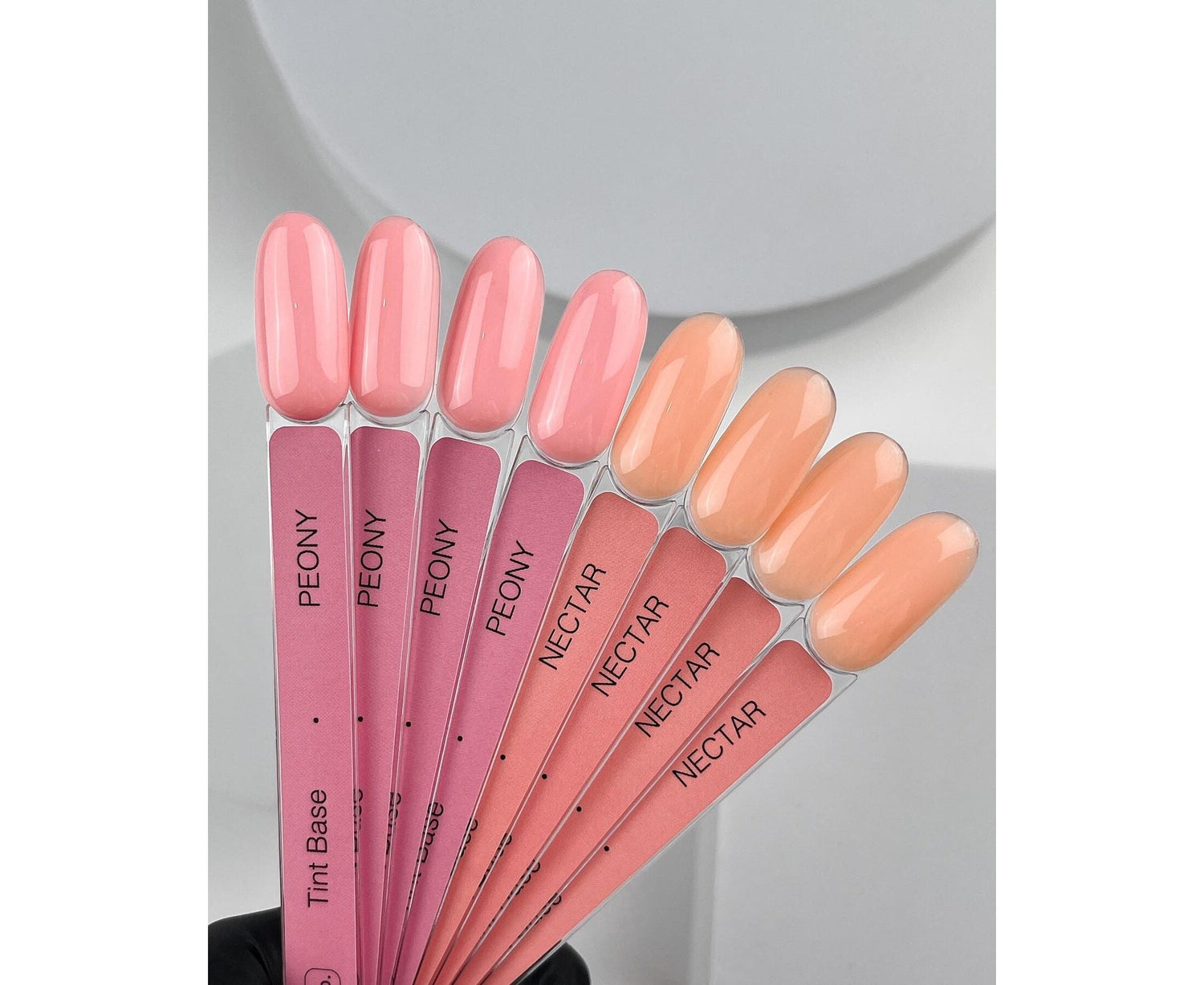 Palette