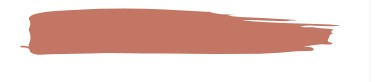 Pigment for permanent lip makeup Tinel L-Touch №3 Caramel pudding,15ml